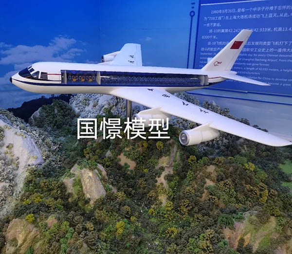 高阳县飞机模型