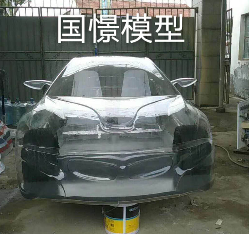 高阳县透明车模型